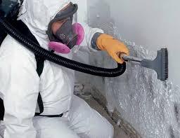 Mold Remediation for Vacation Homes in Hereford, TX